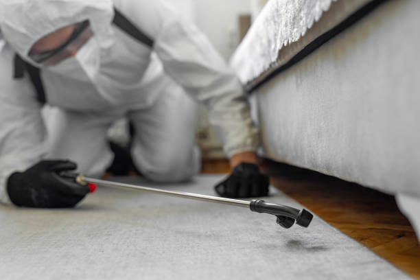 Professional Bed Bug Control technician working in Pleasant Hill, TX